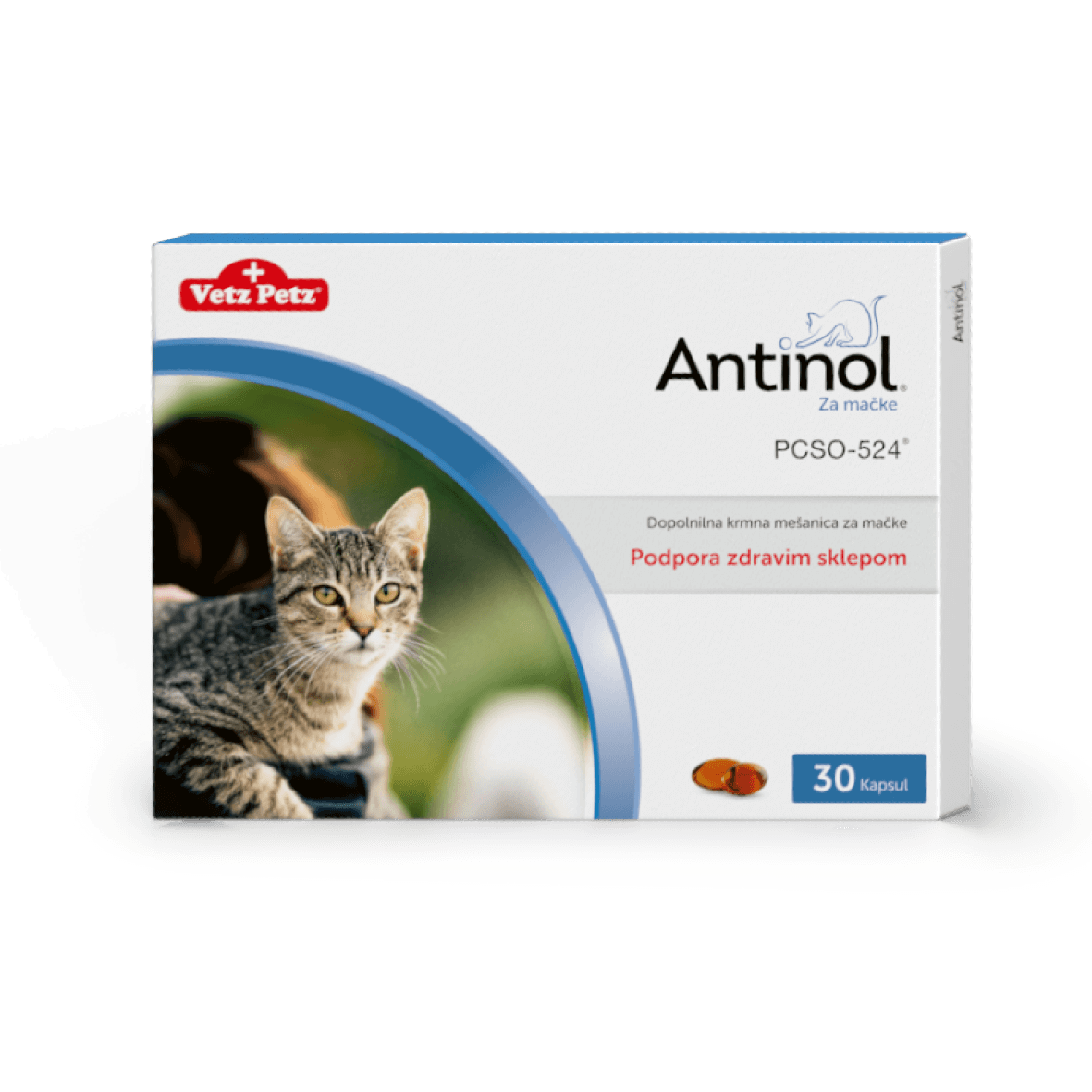 Antinol za mačke (30 kapsul)