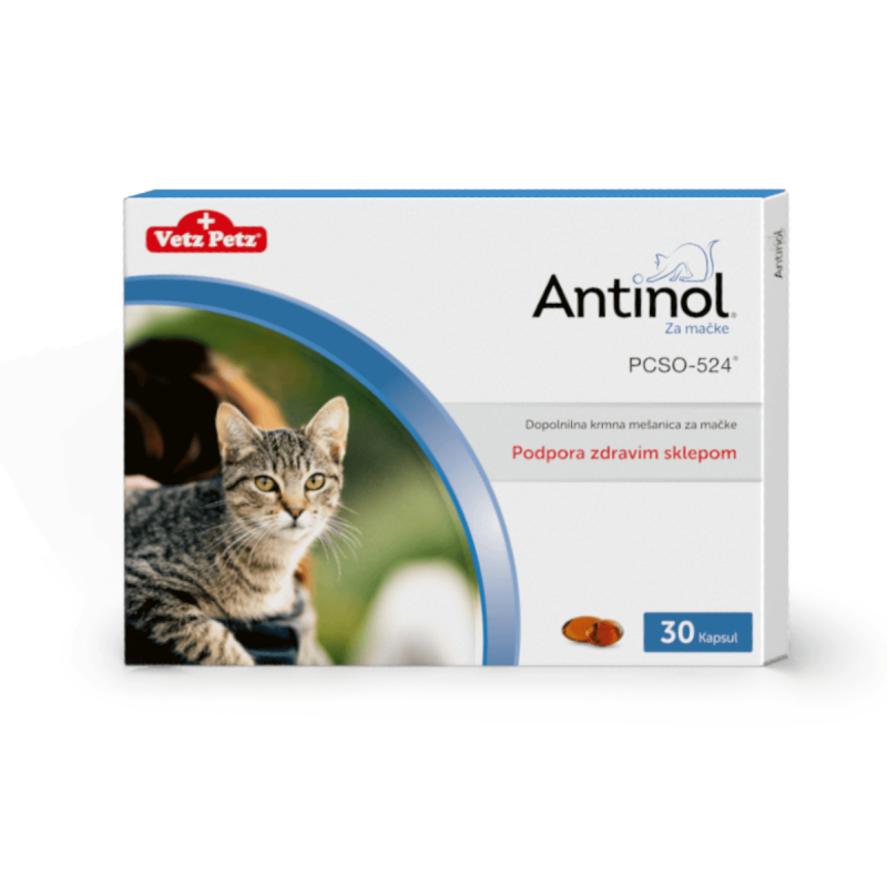 Antinol za mačke