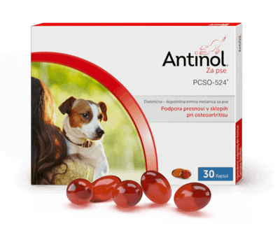 Antinol kapsule za pse