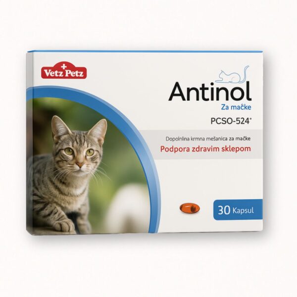 Antinol za mačke