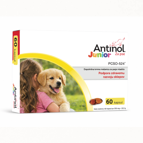 Antinol® Junior za pasje mladiče